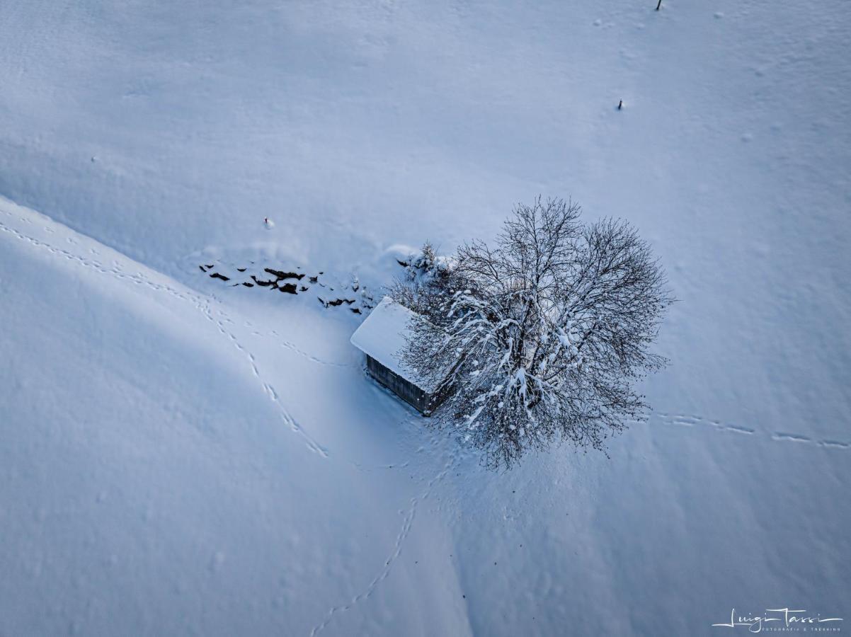 Appartement Haus Egger *